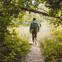 FOREST WALK